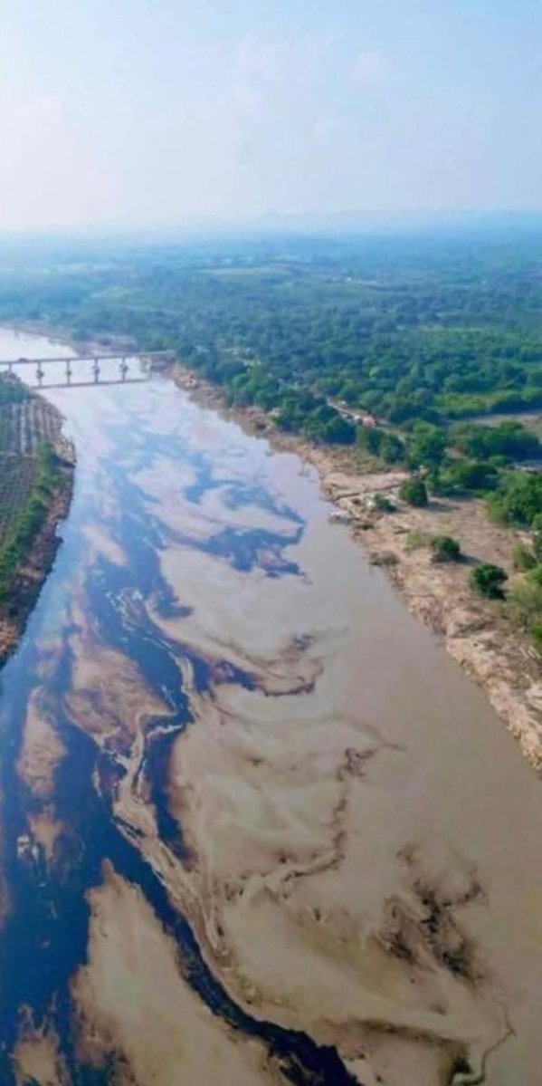 MaTere_Mendoza's tweet image. Para acabarla de joder:
Tremenda contaminación en el Río Tuxpan
Un grave derrame de crudo se originó en el Río Pantepec y avanzó más de 16 kilómetros, hasta alcanzar el río Tuxpan.
Este desastre ambiental es enorme: el ecosistema ha sido severamente afectado y su recuperación…