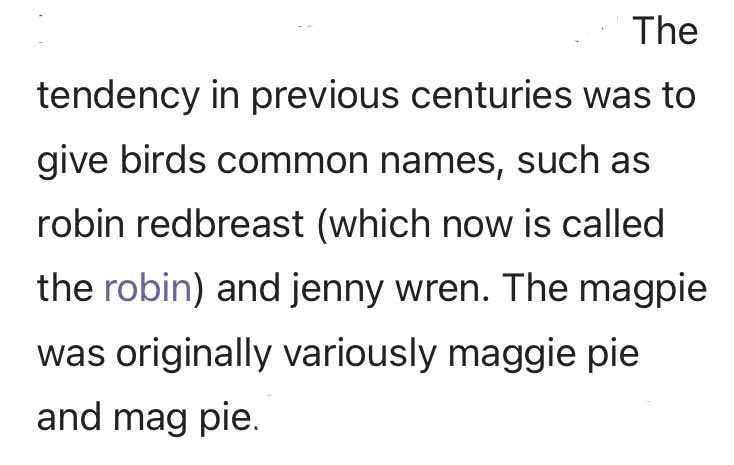 have just learned that magpies used to just be called “pies” and then people were like “you look like your name is maggie” and that’s why they’re called magpies