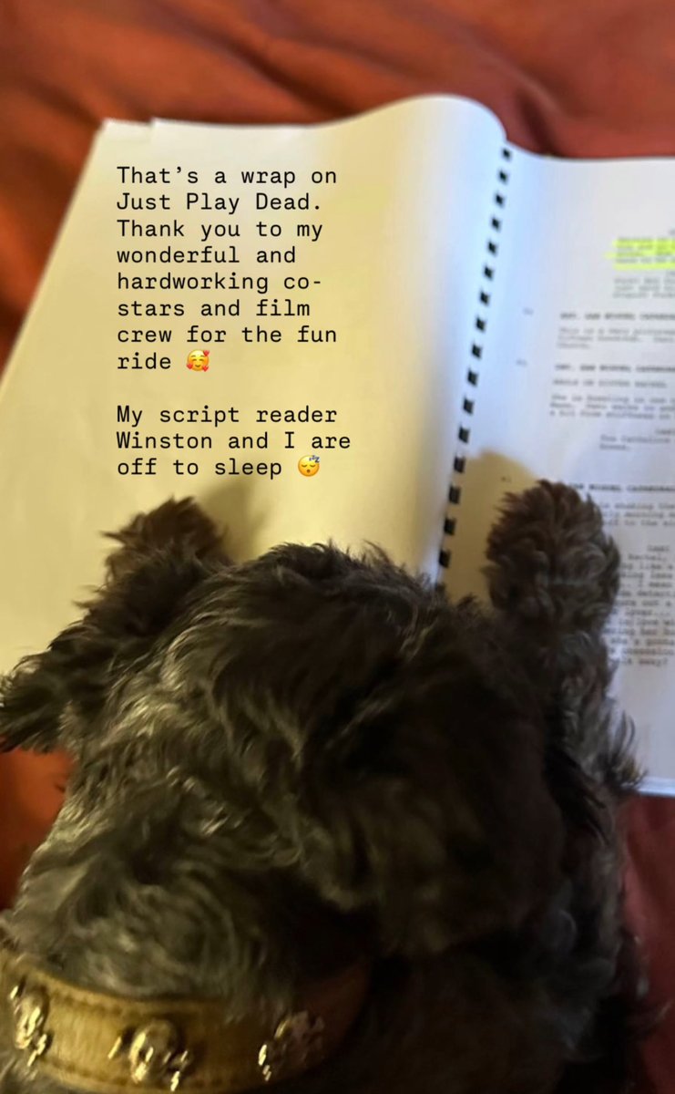 lembrei de quando fiquei criando teorias q a nora morreu pq ela só posta o winston