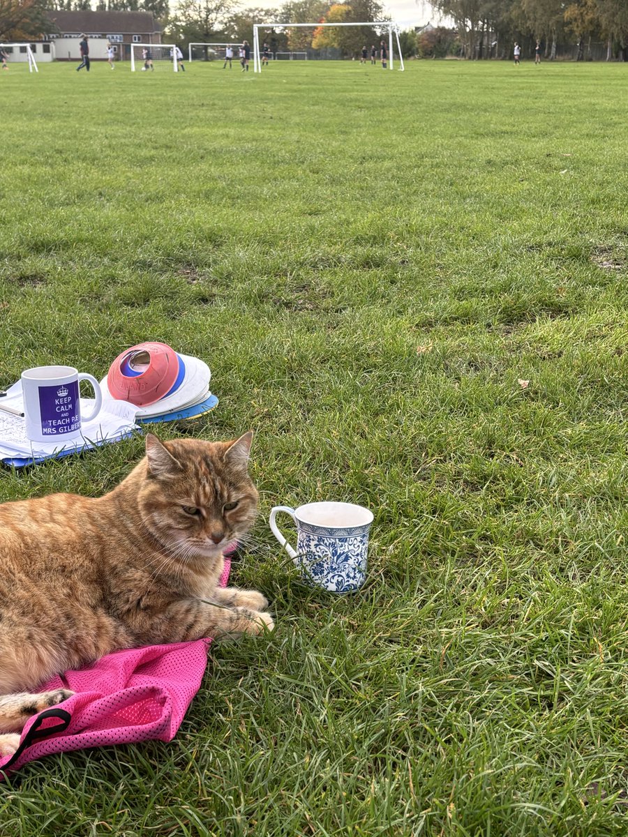 Enjoying a cup of tea at football club this evening #schoolcat