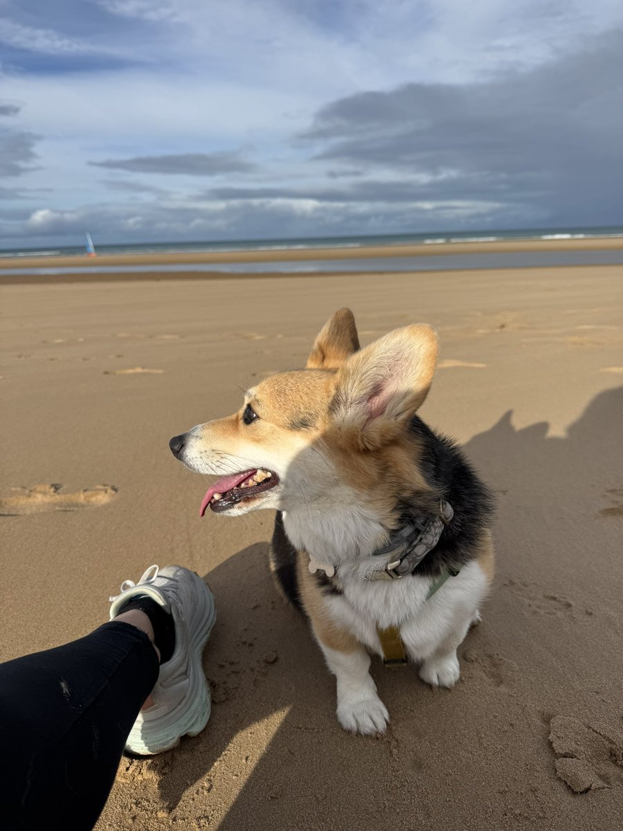 nohell_'s tweet image. roadtrip en normandie avec la best partenaire ❤️