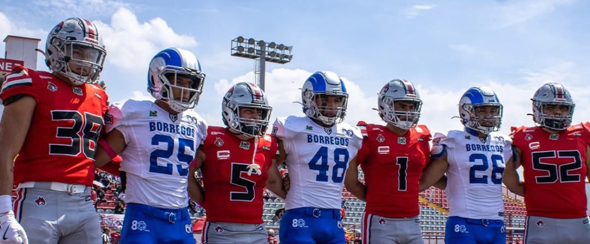 Capitanes <a href="/LincesMex/">Linces México</a> vs <a href="/CCMBorregosFBA/">BorregosCCM Football</a>