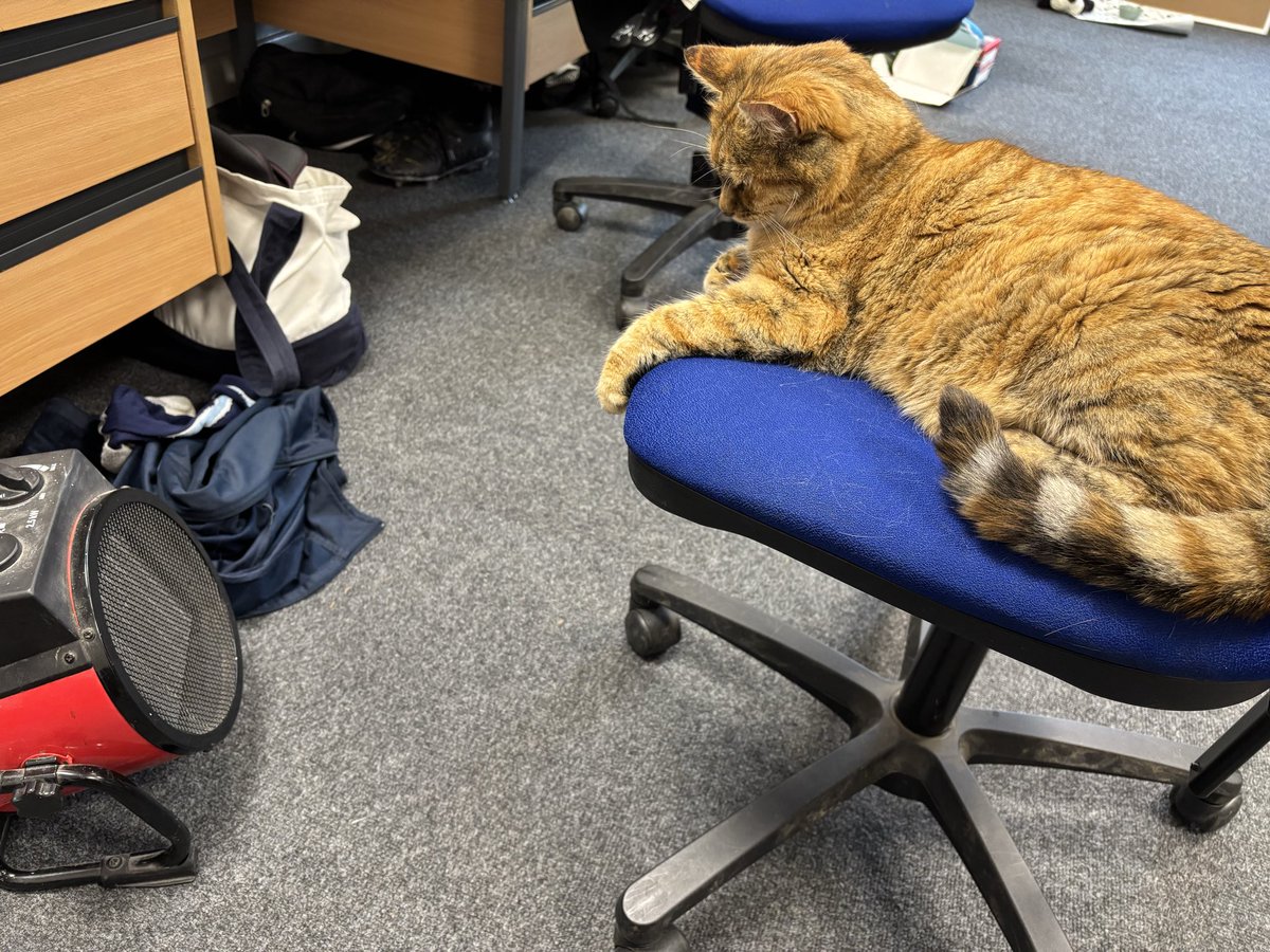 Pampered office cat; a swivel chair and her own heater.