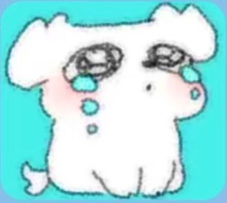 🐻 brat bear🐻 tweet media