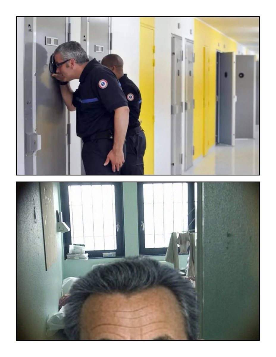 Les batards 🤣🤣🤣