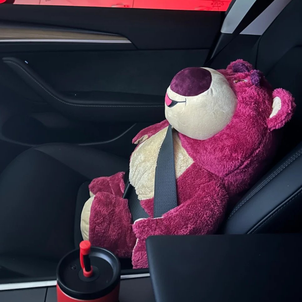 vwnhq_XAX's tweet image. 助手席には誰が座ってるのかな🤔今日の相棒は誰だろう〜
#ミステリアスな仲間