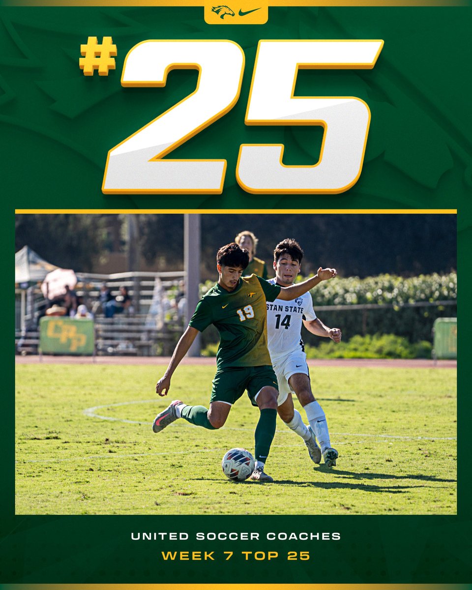 cppbroncos's tweet image. Standing strong at No. 25

#WeAreCPP