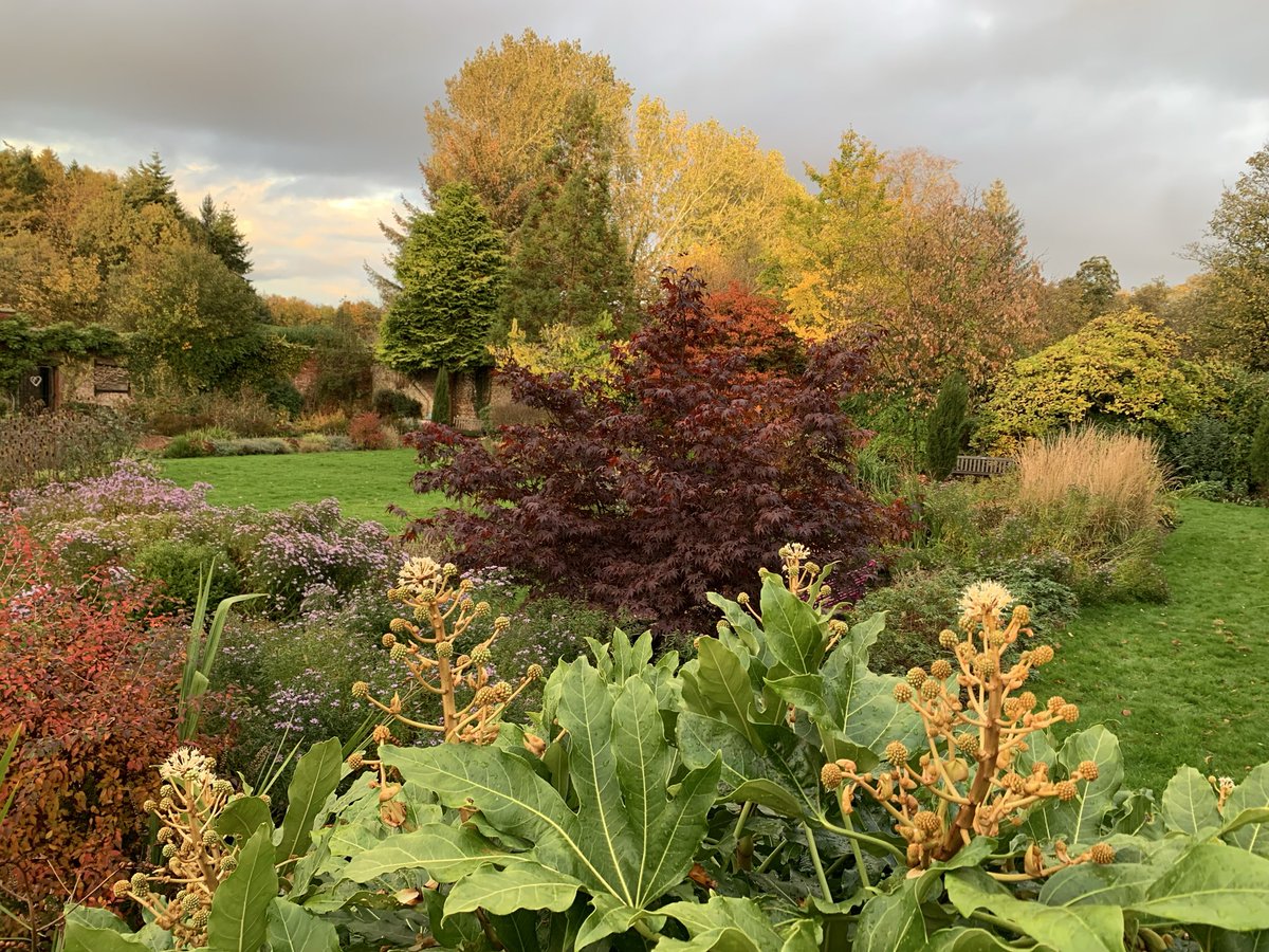 Mark Shephard 🏳️‍🌈 tweet media