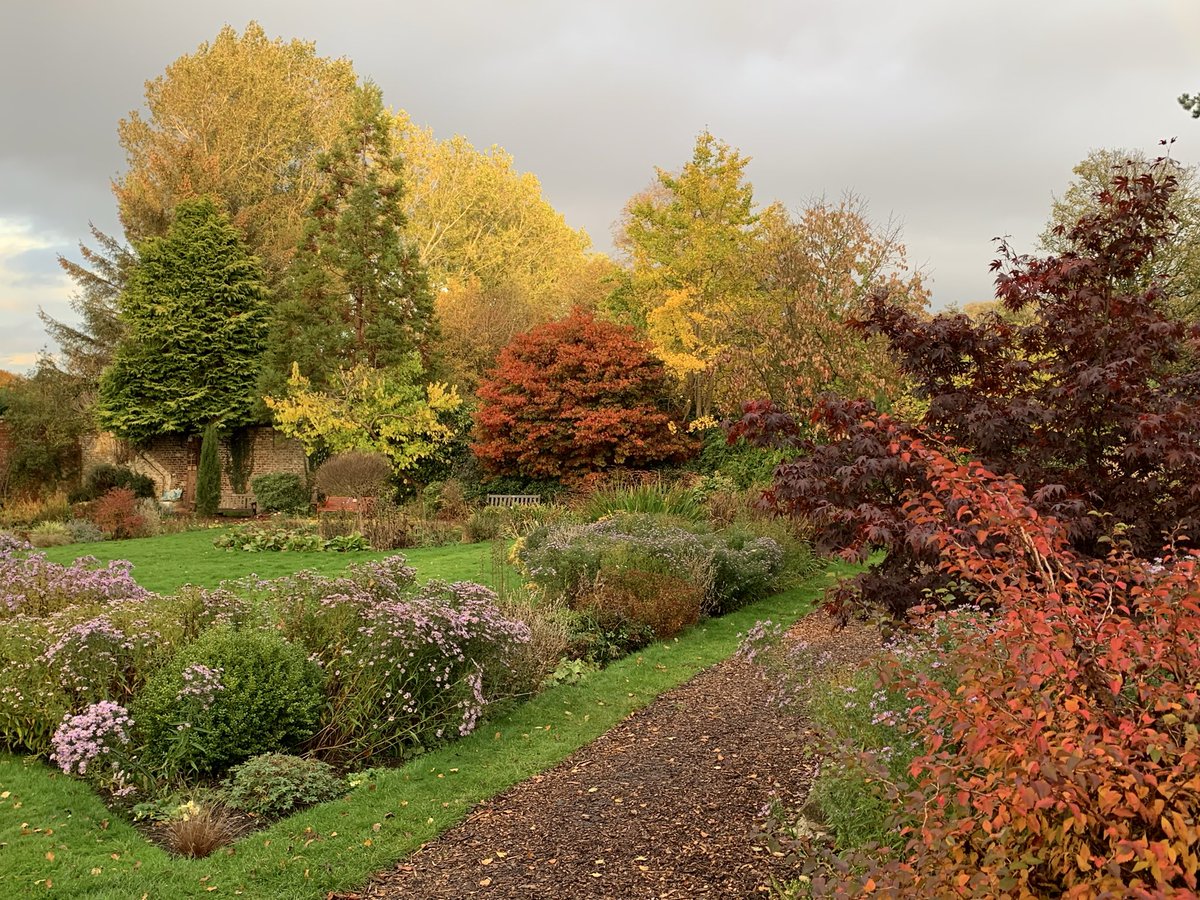 Mark Shephard 🏳️‍🌈 tweet media