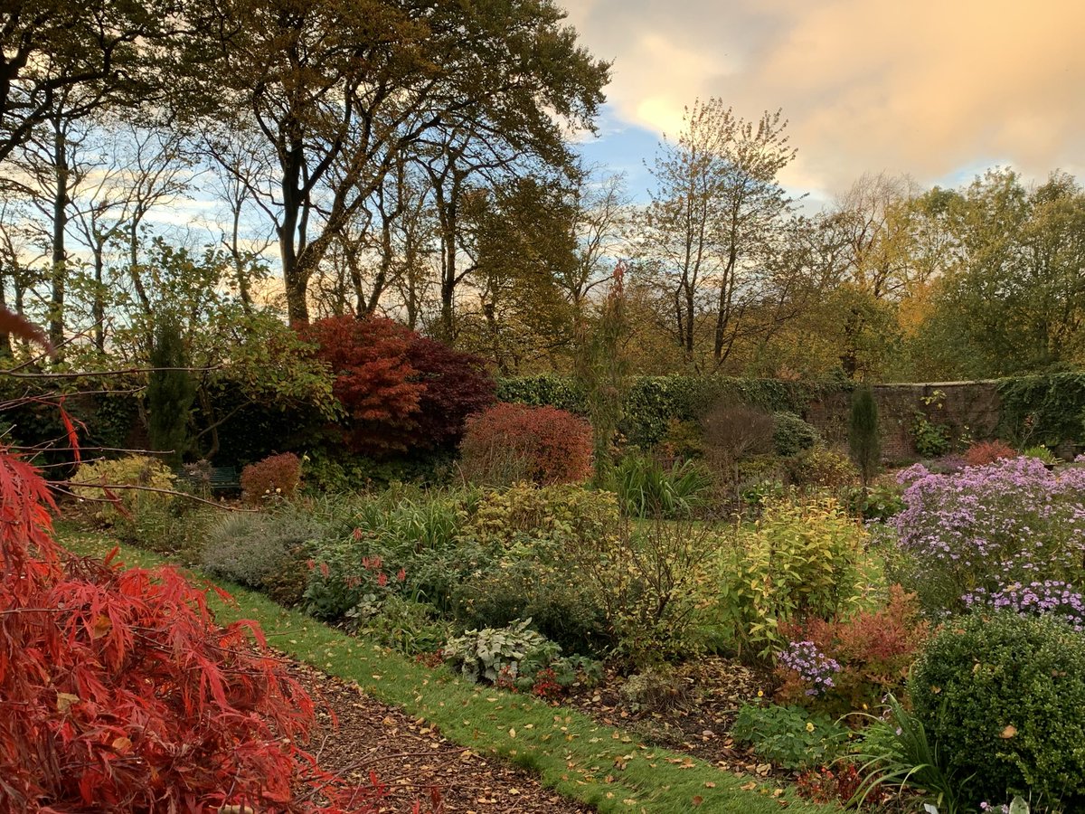 Mark Shephard 🏳️‍🌈 tweet media