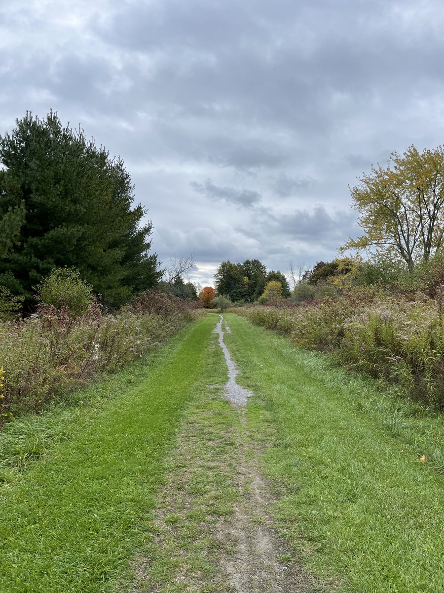 Joe Mathieu (@joe_mathieu_) on Twitter photo 