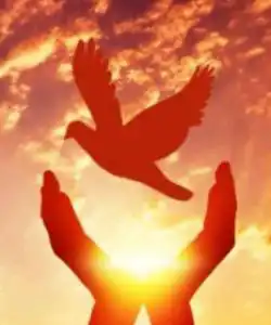 #币安人生 是币圈人的愿望
#世界和平 是全人类的愿望
love and peace