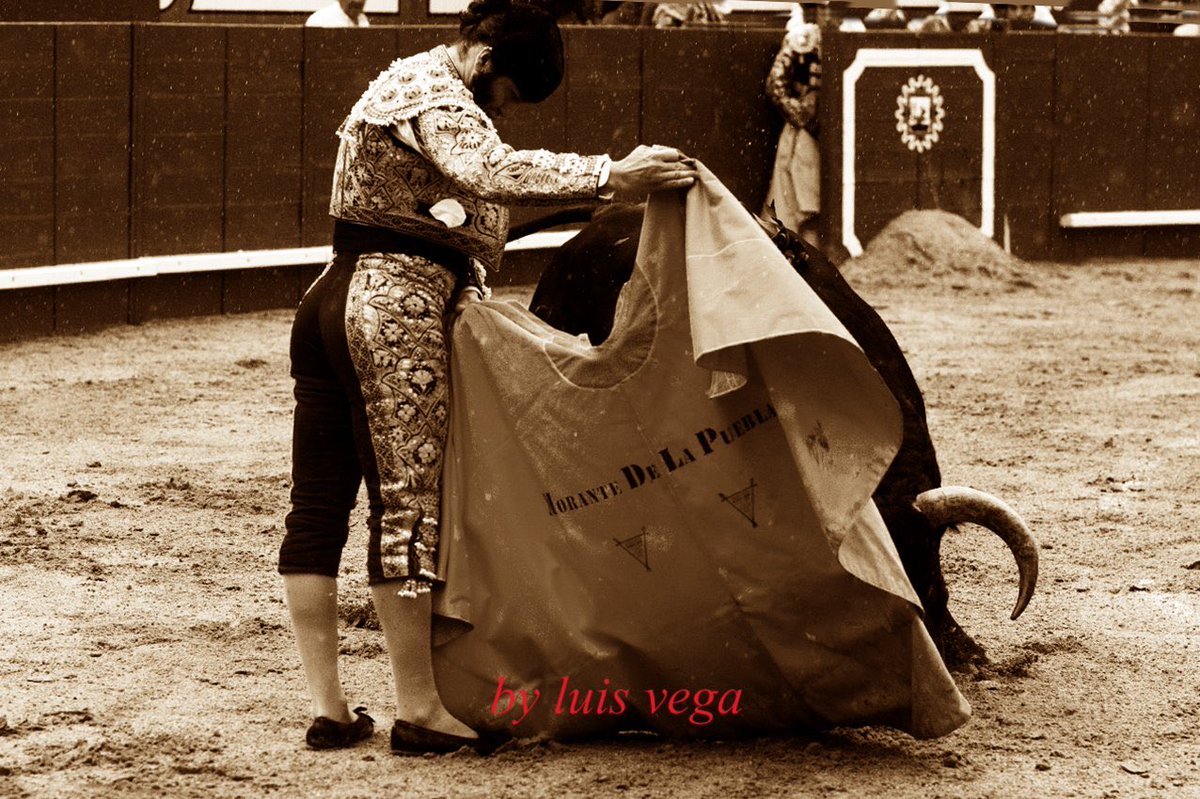 Es una fotografía realmente magnífica que retrata la versatilidad de Morante, el mejor intérprete a la verónica de siempre. La fotografía es de Luis Vega.