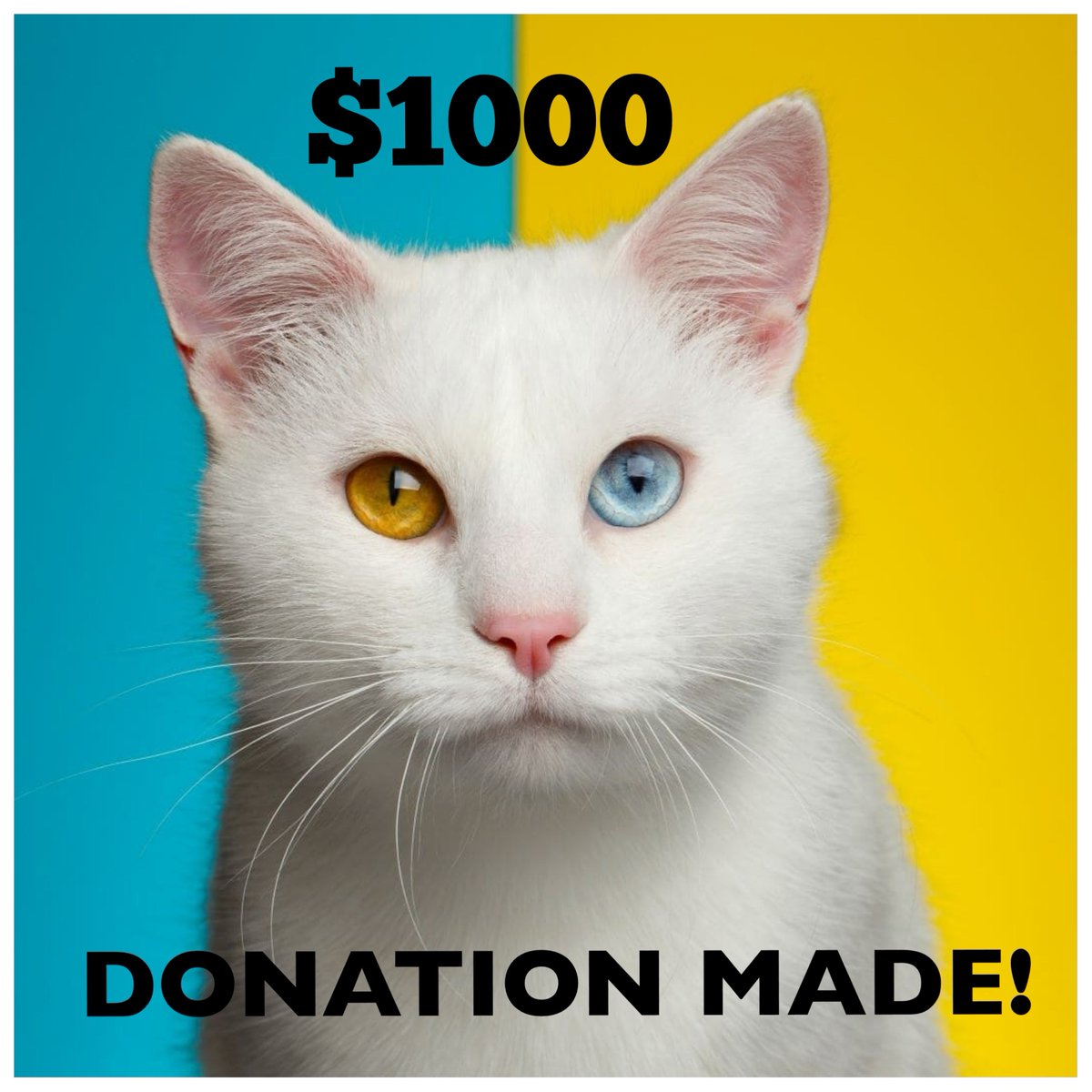 <a href="/Y_Chornomorets/">Yuri Chornomorets</a> <a href="/MapleSyrupF/">Maple Syrup O'Fella 🇨🇦 #TeamYuri. ▄︻芫══━一</a> <a href="/olimanagraphics/">Olimana Gurimana 🇺🇦 #TeamYuri</a> <a href="/kvistp/">Kvist</a> <a href="/Justinhead1982/">Wolfhound Fellá 🇮🇪🇪🇺🇺🇦🇺🇸🇬🇧 #TeamYuri</a> <a href="/GrootCorine/">Co 🇳🇱🇺🇦🇫🇷</a> <a href="/akwtenn/">GBO △</a> <a href="/nina_lindroos/">NinaNafo CrazyCatLadyFella</a> <a href="/RichardKernoha2/">Richard Kernohan</a> <a href="/AndersRasmusso2/">Ducati Desert Fella #TeamYuri</a> We need to buckle up and help these brave fighters. There are many needs, and much urgency, but together - combining our efforts - I’m sure we can find the funds to get what’s necessary. TeamYuri
🎟️ = 🎁🙏 <a href="/MapleSyrupF/">Maple Syrup O'Fella 🇨🇦 #TeamYuri. ▄︻芫══━一</a> for those spreading the word about the Warriors of Light.💙💛