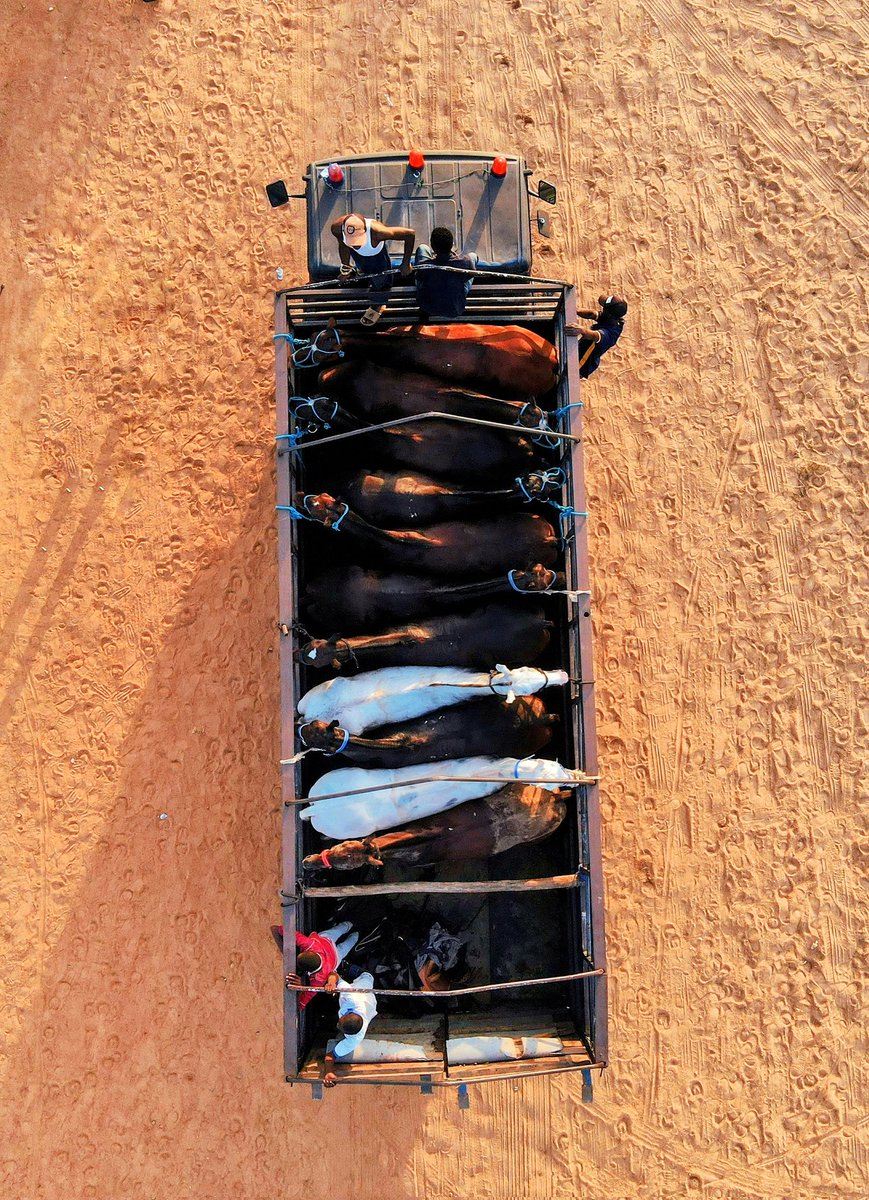 Ameeru (@amigoumar) on Twitter photo 