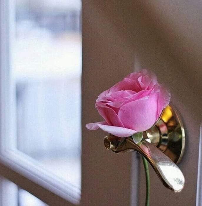 ـــــــــــ

آبعد عنْآ گل آلُاحزآنْ ۆآسعد 
خوآطرٍنآ`بْرٍضآگ'⇣ 

#اميره_ونوني_للدعم
#اسطول_زعماء_تويتر
#الكلم_الطيب
#أرض_سبأ_للتبادل
#اوفيا_لسعادتكGp
#نبض_الوناسه_للدعم
#قروب_الذوق_للتبادل
#اصدقاء_حلا_للتبادل
#يارب_اثر_لنا_ولوالدينا
ـــــــــ🍃📚🍃 ــــــــــ