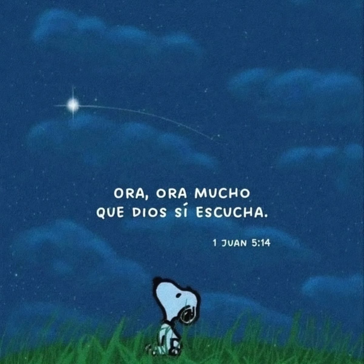 Águilas de Dios (@aguilassdedios) on Twitter photo 