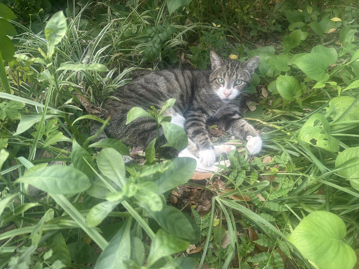 Today’s #OfficeSpace: