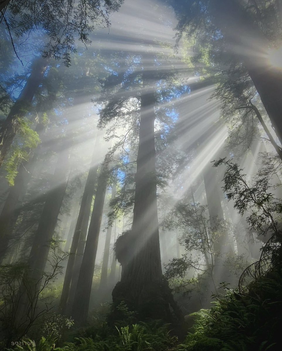 earthcurated's tweet image. Post a picture YOU took. Just a pic. No description.