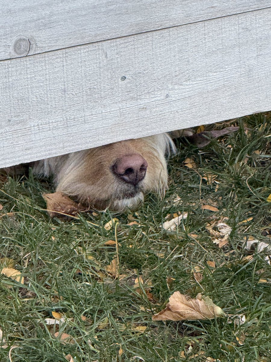 🎼 Hello from the other side 🎵
