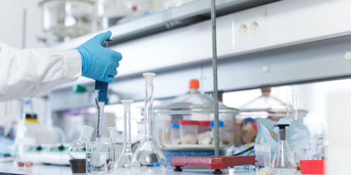 Once investigadores PUCV figuran entre los científicos más influyentes del mundo.

🔗Más detalles en <a href="/elmostrador/">El Mostrador</a> 
elmostrador.cl/agenda-pais/ag…