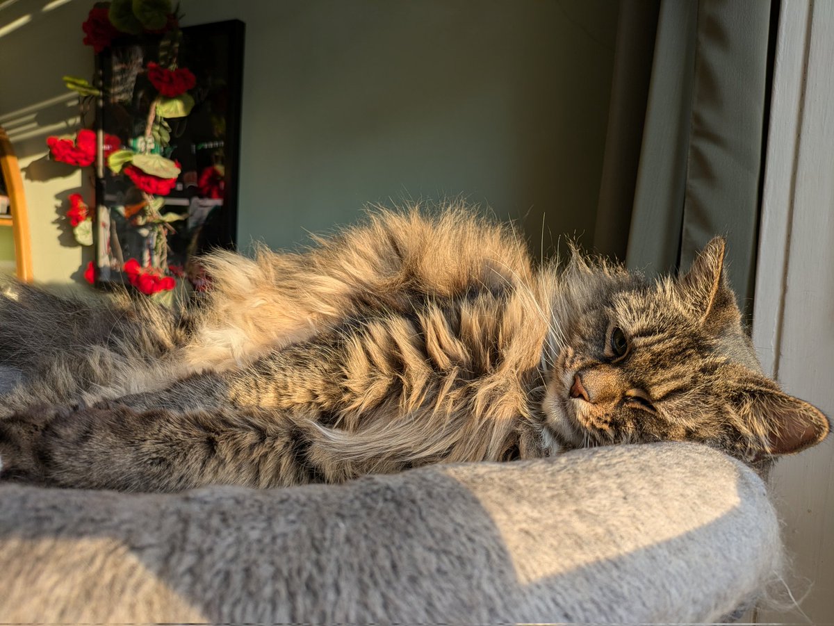 eepy
