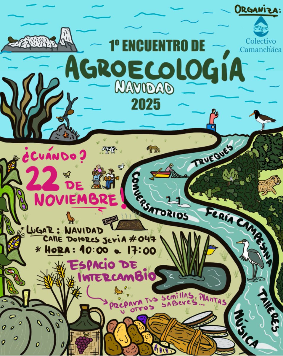 MucechN's tweet photo. 🌱✨ ¡1° Encuentro de Agroecología, Navidad 2025! ✨🌱 
Este 22 de noviembre de 2025, nos reunimos en Calle Dolores Jeria, Navidad – Región de O’Higgins, para compartir una jornada dedicada al cuidado de la tierra, la soberanía alimentaria y la fuerza de la juventud rural 🌾💪 https://t.co/QGH4ofNZpo