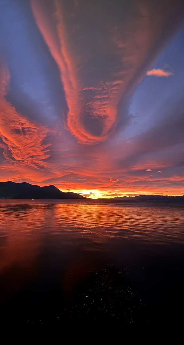 cpilaralonso's tweet photo. Ushuaia, Tierra del Fuego. 💚 https://t.co/FlZLQzNY9o