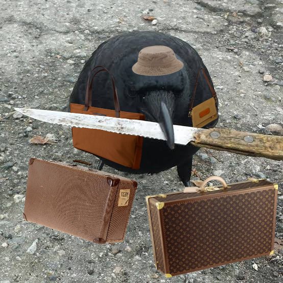 crow with knife 
You are not Bullish enought 🫵 
$CAW