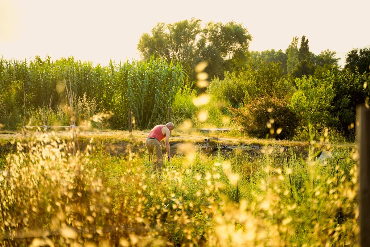La fotògrafa Lara Withman exposa ‘Les vides a les Hortes’ en el marc de la 41a edició de Mostrar’t.

La proposta es podrà visitar a L’Estació Espai Jove fins al 27 de novembre

+ INFO: girona.cat/agenda/cat/age…

▶️youtube.com/watch?v=W_2gue…