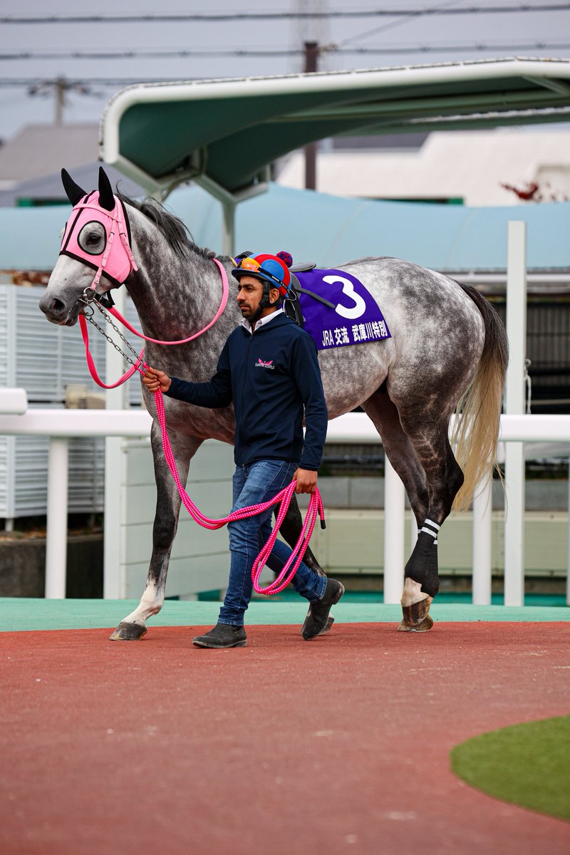 交流戦のおもてなし要員みたいなミグさん🙄 今日もヴァリさんみてひと