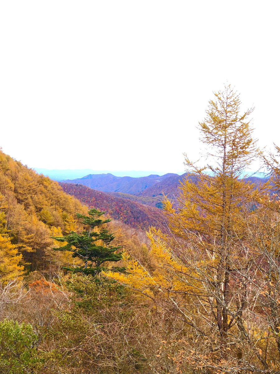 tfkd3's tweet image. 何度目だろう…
今年の日光( ᐛ )ｱﾊｰ
暑い時から肌寒い時まで
別に何するワケじゃないけど
なんか来ちゃうんだ
山が呼んでるのか
いや、滝か
湖か
湯波か羊羹か
あるいは徳川家か
よくわからないけど加工しまくった写真をどうぞ
#加工しまくり
#明智平付近大渋滞
#動画も録ったよ
#観光客超たくさん