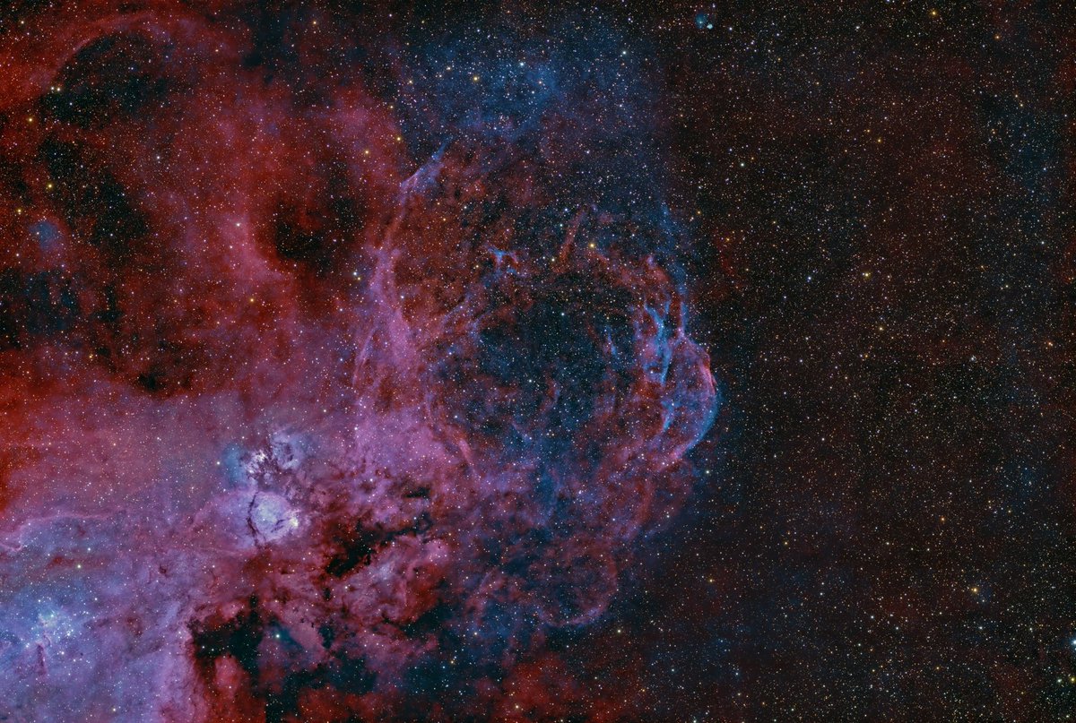 バークレー on X