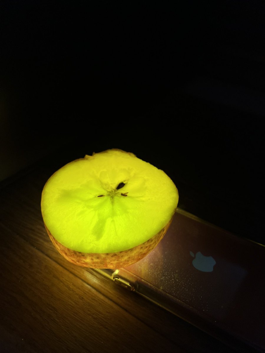 本日【いいりんごの日】
ここで魔改造みつりんごを見てみよう🍯
みつ入りりんごはスマホで光るよ💡