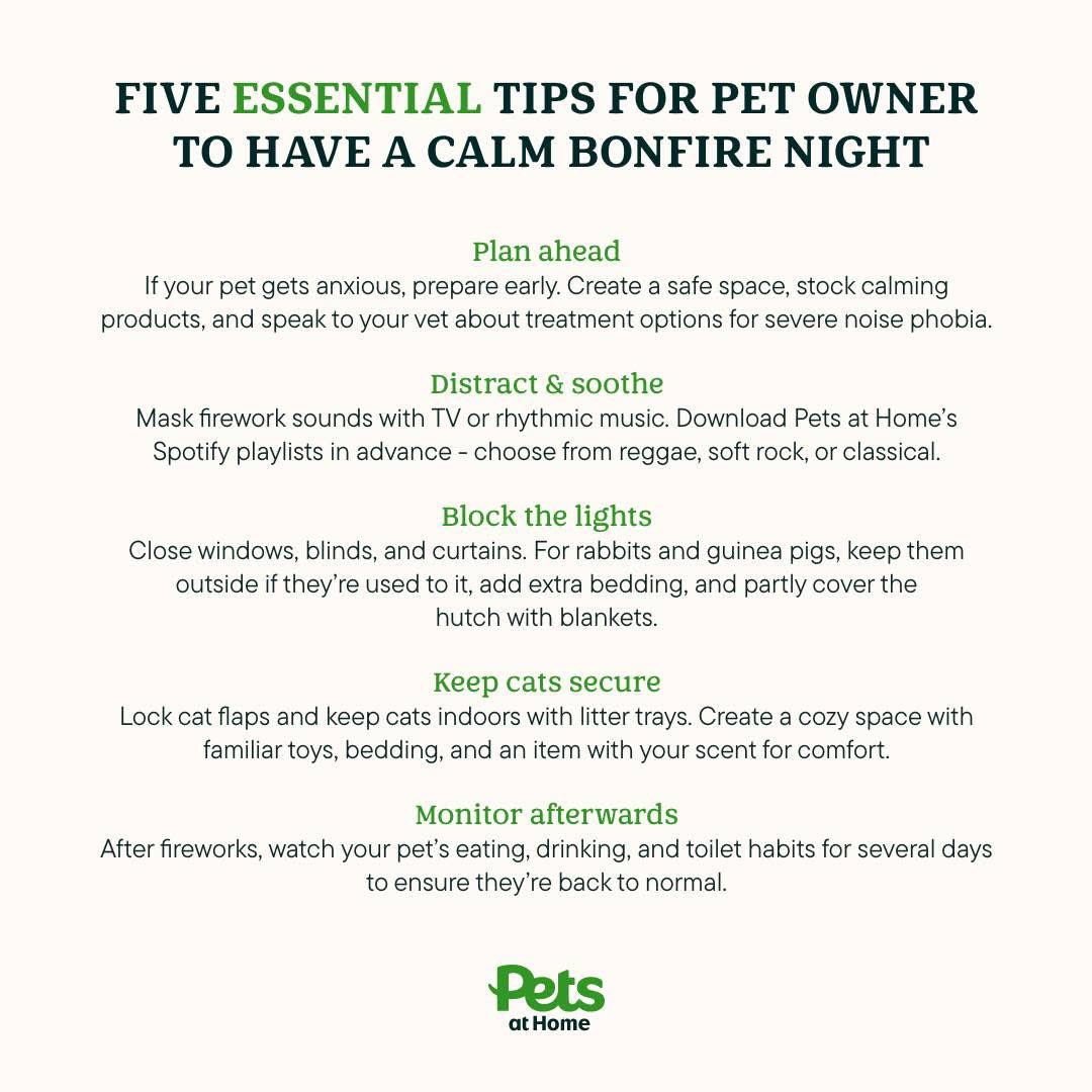We know bonfire night can be a stressful time for pets and vulnerable people. 

The Government has launched an awareness campaign to help people use fireworks safely, protecting both pets and the most vulnerable: gov.uk/guidance/my-sa…

Pets at home also have some useful tips: