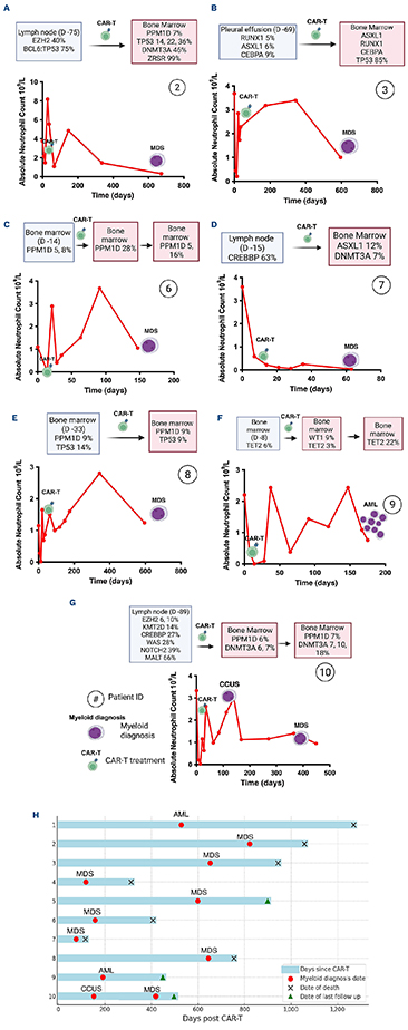 Clonal myeloid disorders arising in patients with non-Hodgkin lymphoma treated with CD19-directed chimeric antigen receptor T-cell therapies: a new single-center experience.
haematologica.org/article/view/1…