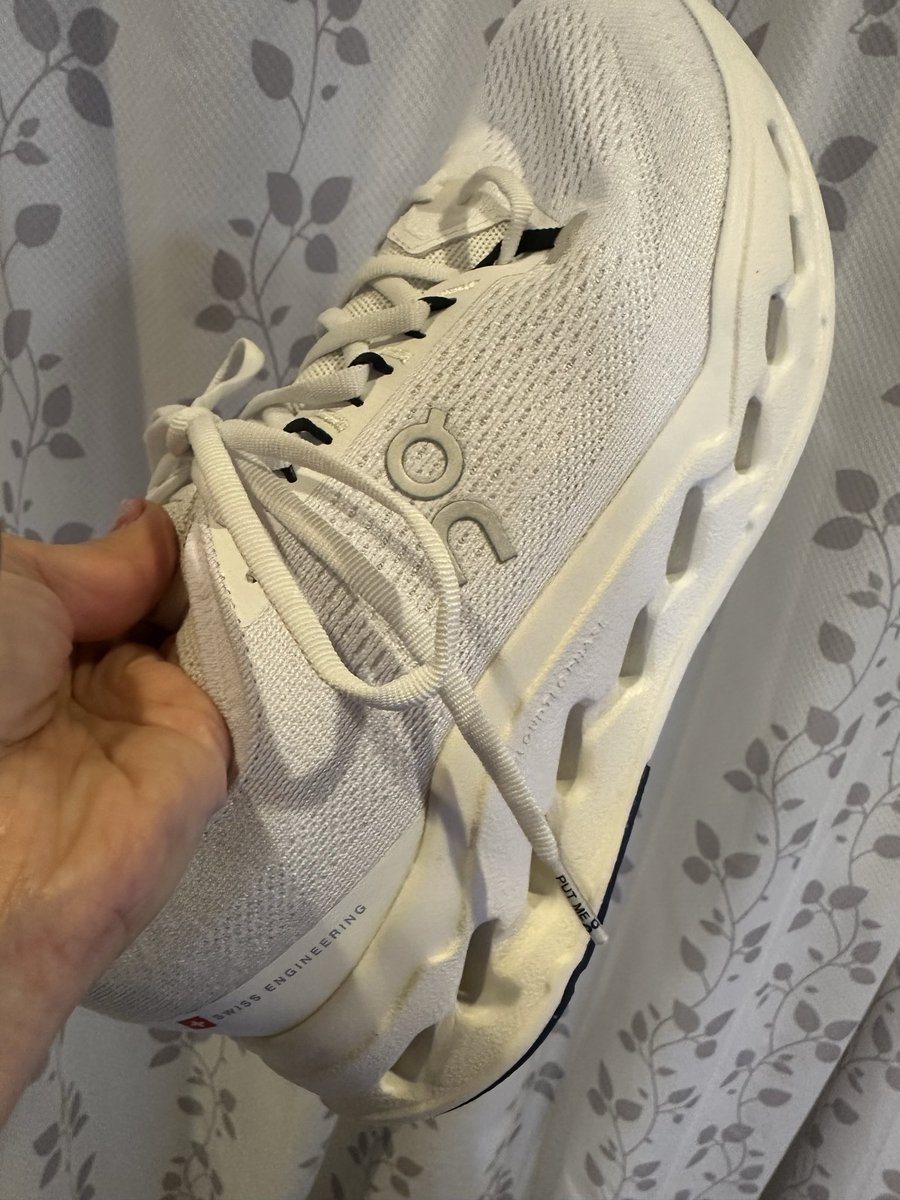 ポメラニアンのトーマ on X