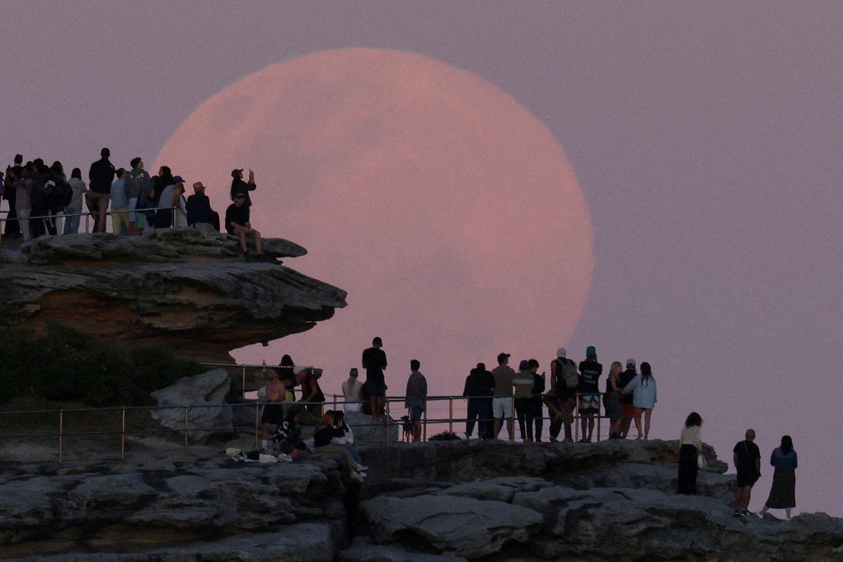PictureStorry's tweet image. A Beaver Moon supermoon rises over North Bondi in Sydney, Australia.

via Reuters

#picturestory #Supermoon #NorthBondi #Sydney #Australia