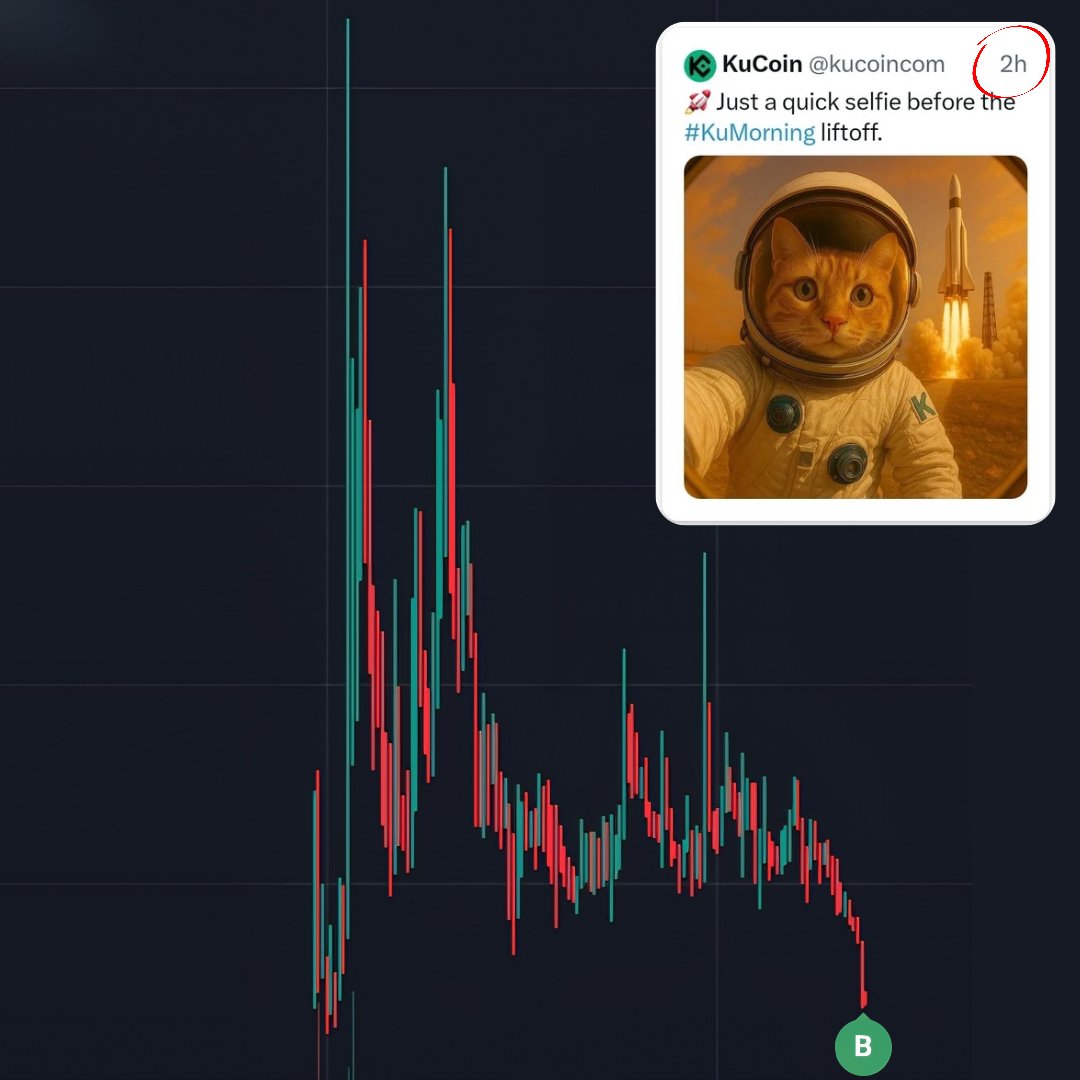 General_Sancho's tweet image. Sometimes ya just gotta wait for the paper hands to bail so you can scoop that chad entry on a token... Betting it won&apos;t dip lower!

No more dead cat bounces 🐱 this chart&apos;s headed straight to the moon 🌙