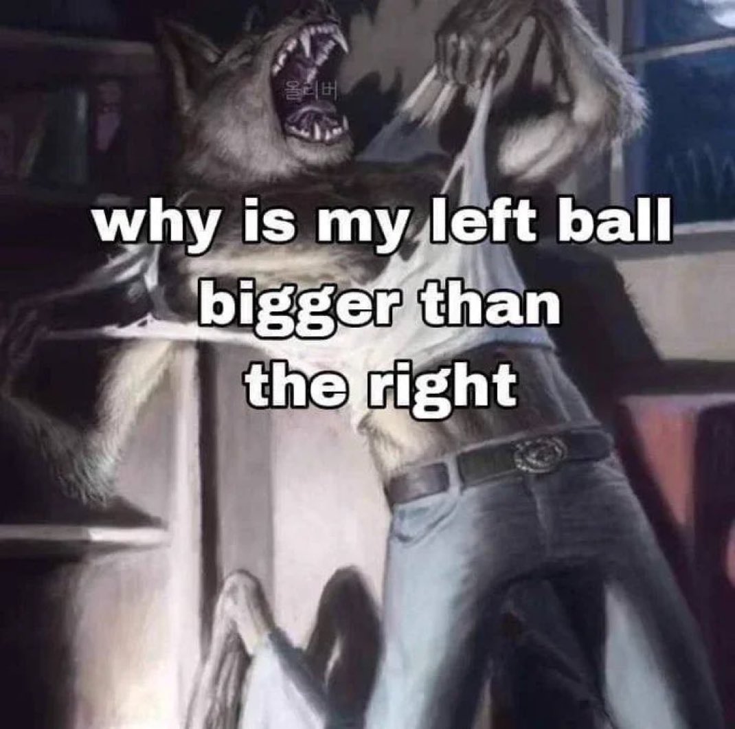 ShitpostGate's tweet image. 