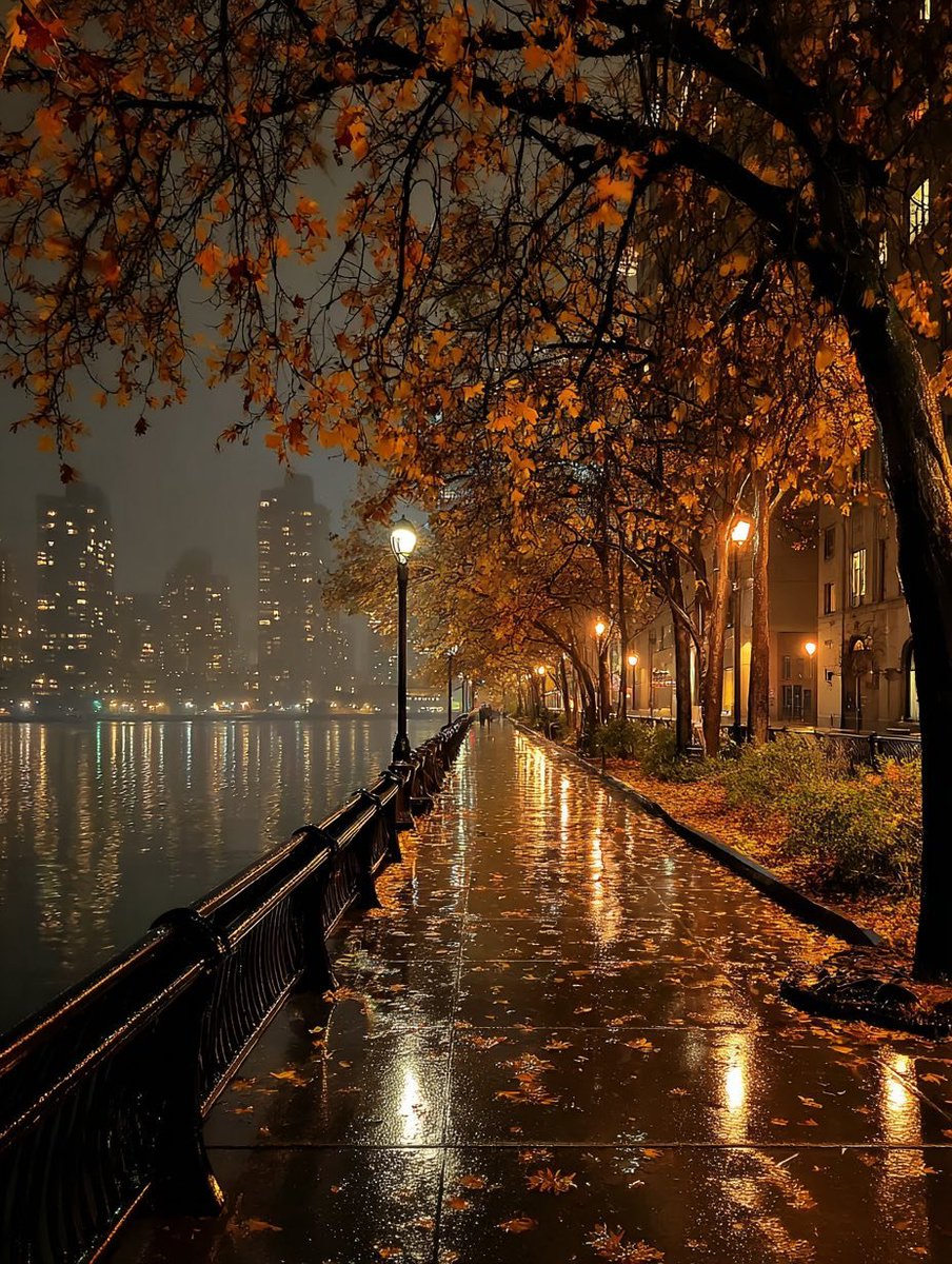 talya9646171863's tweet image. 