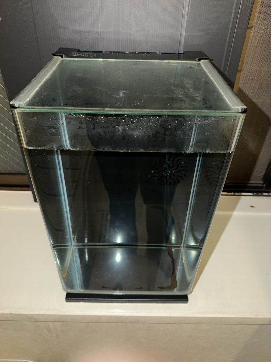 のじ〜🤍🩶🖤(NO💤Y(Zは3つ)) on X