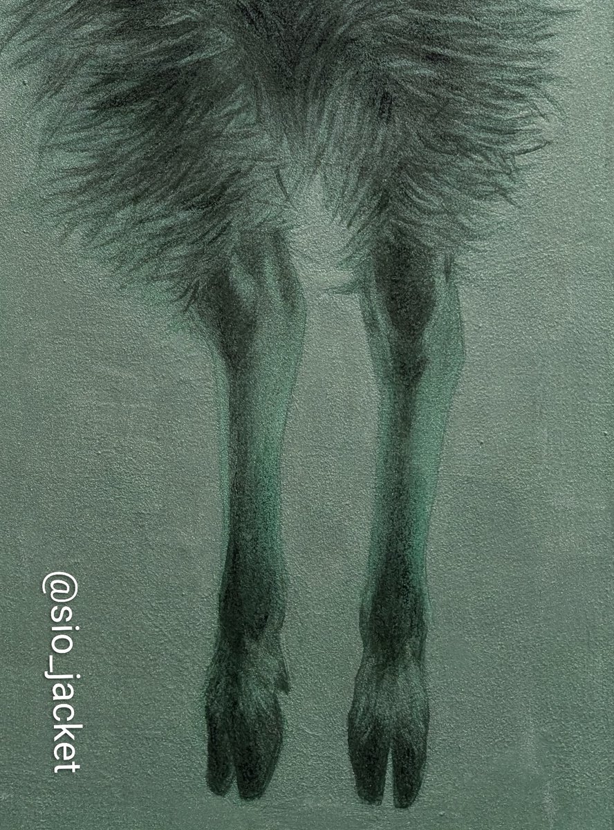 現在制作中の日本画
なんですが

ヤギの足にずっと
苦戦した1日でした
_φ(･_･