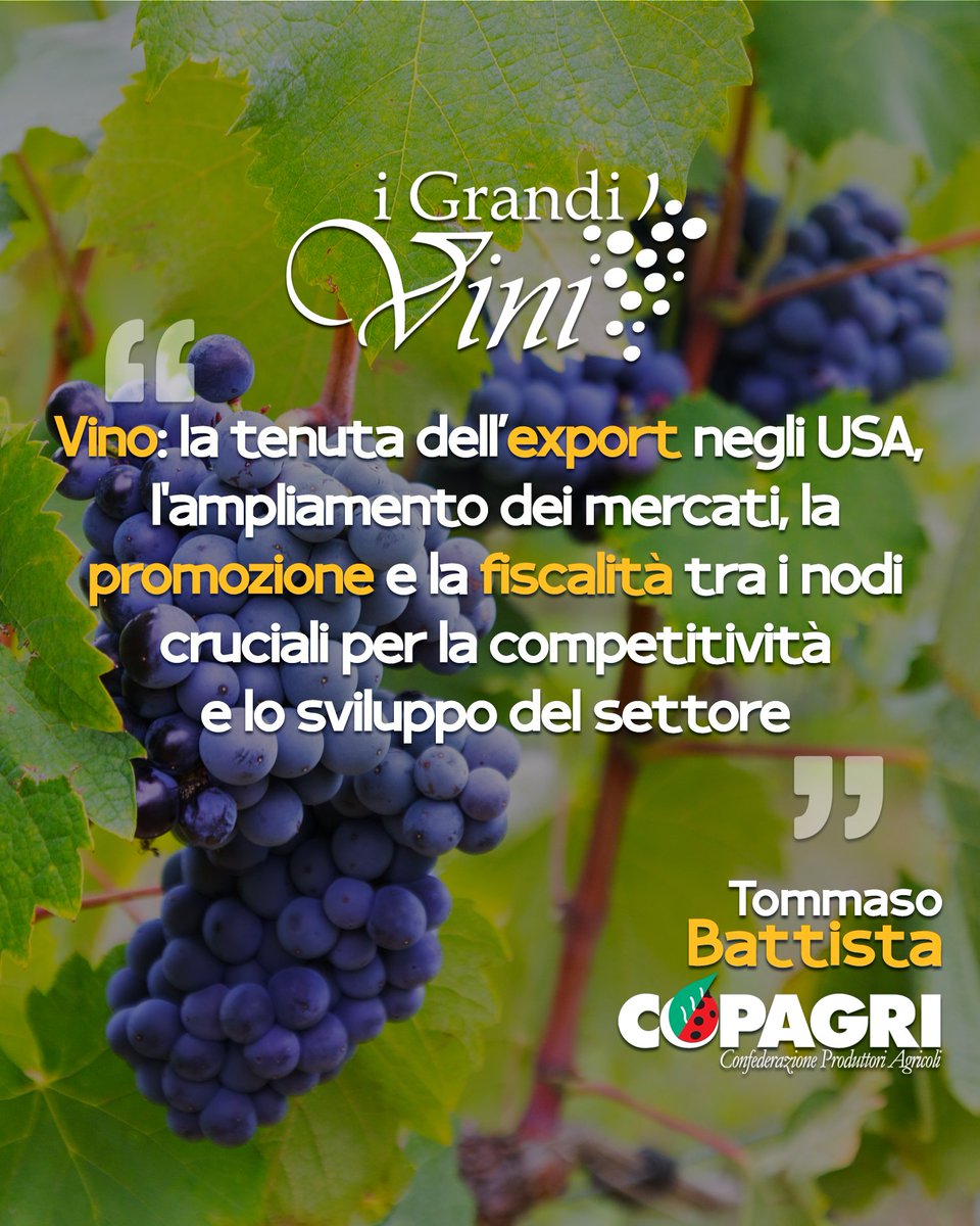 Copagri's tweet photo. #Vino: intervista pres #Copagri #Battista a @IGrandiVini, "la tenuta dell’#export verso gli USA, l'ampliamento dei #mercati, la #promozione e la #fiscalità sono alcuni dei nodi cruciali da cui passa la #competitività e lo #sviluppo del settore".

https://t.co/rojPKl4Jq8 https://t.co/YMP69eenoL