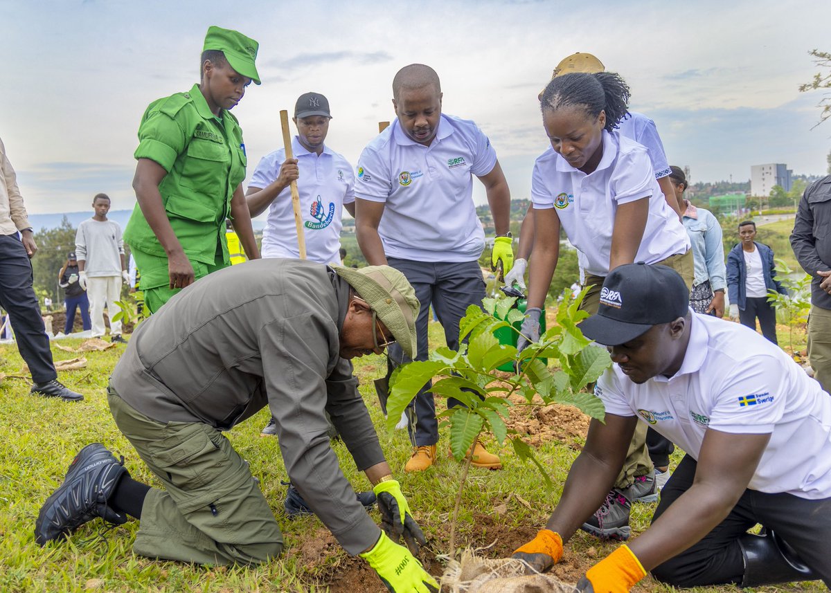 Nsengim12479693's tweet image. Let’s plant trees and take good care of them so they grow well. They are a legacy for future generations, a way to protect the environment, fight soil erosion, and promote the well-being of our communities. 🌳