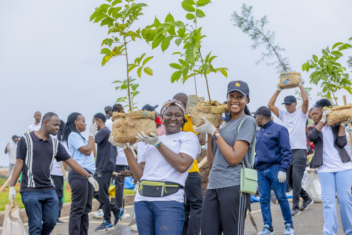 Nsengim12479693's tweet image. Let’s plant trees and take good care of them so they grow well. They are a legacy for future generations, a way to protect the environment, fight soil erosion, and promote the well-being of our communities. 🌳