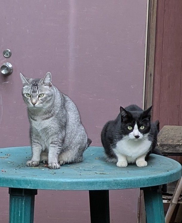 みわ みぞおち (@2610Am) / Posts / X