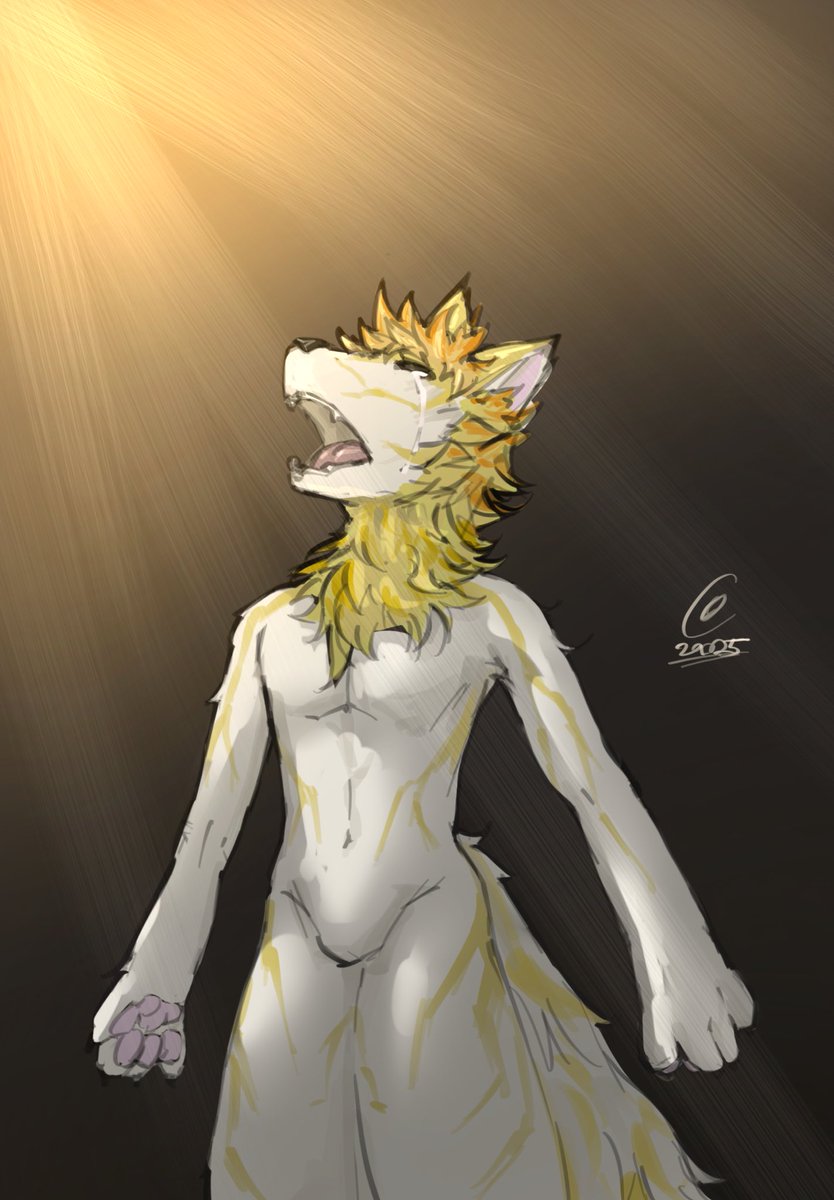 赠图奉上～
<a href="/hanhan67676766/">Bigwig Lysine</a> 
感谢支持！