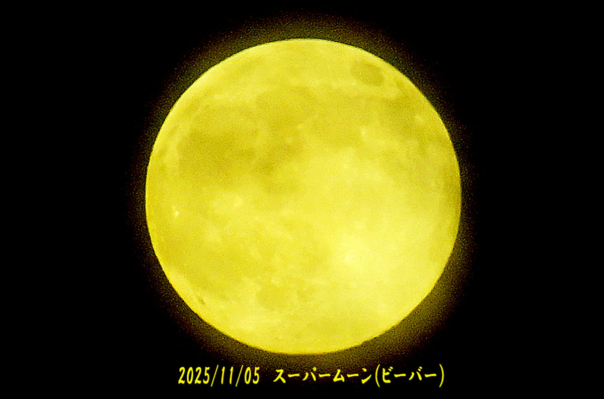 夢写観 (@yumesyakan) / Posts / X