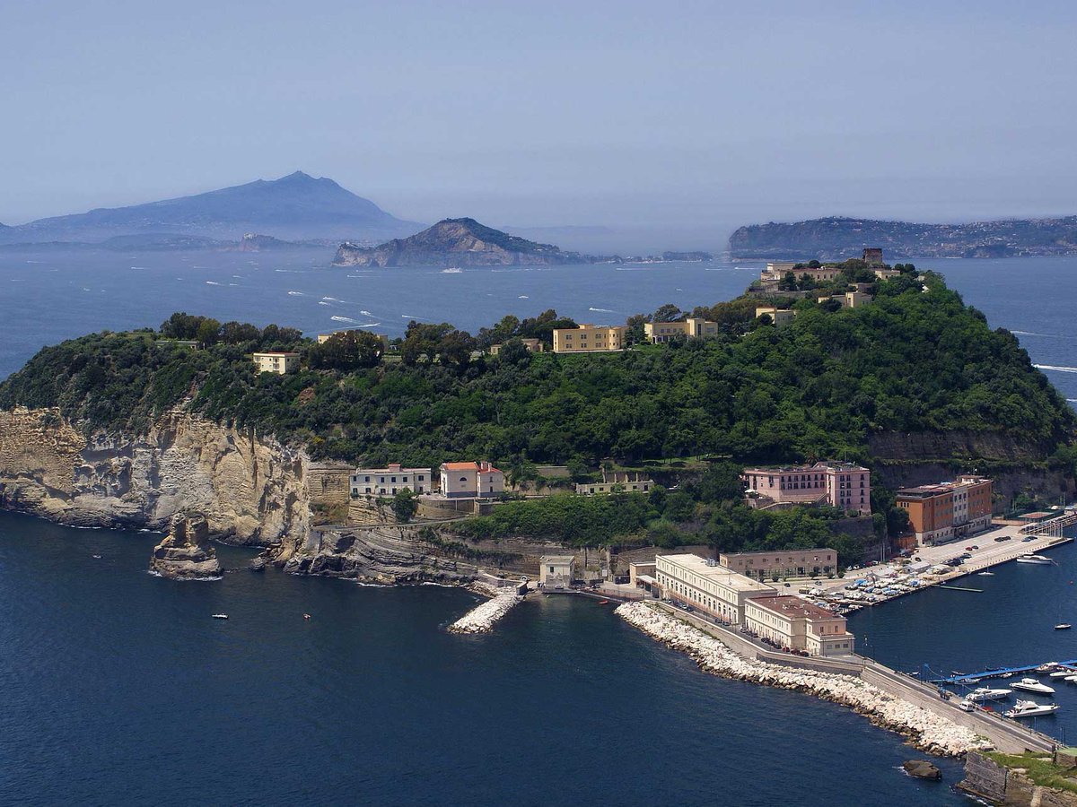 OGS_IT's tweet image. #CampiFlegrei | individuata una fase che precede i #terremoti. Uno studio di @UninaIT, @crs_rts dell&apos;#ogs e @UniGenova  apre nuove prospettive per modelli predittivi della magnitudo  ogs.it/it/notizie/cam…🌋